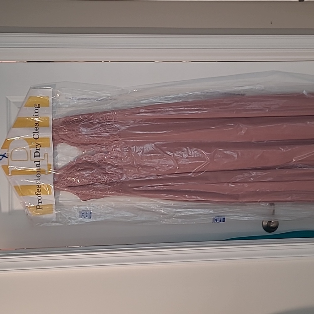 Azazie Dusty Rose Bridesmaid dress